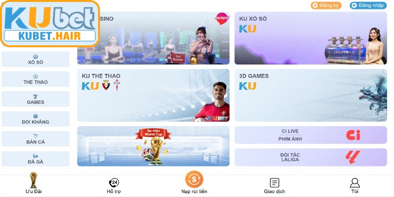 Điều khoản và điều kiện về giao dịch